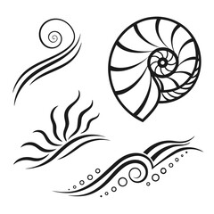 Black abstract swirls and nautilus shell white spiral