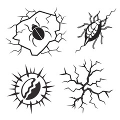 Cracked surface with insects and seed beetle broken