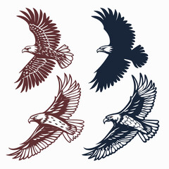 Four eagles flying in silhouette bird wings