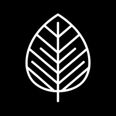 Leaf outline shines alone on black backdrop illustrating simplicity design elements