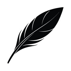 Minimalist Black and White Feather with Curved Detail