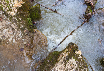 Obraz premium spring in nature, a shallow riverbed with a small flow of water in a wooded area