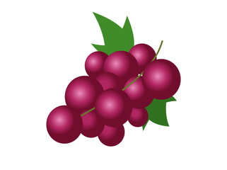 Fruit gradient purple grapes bunch icon