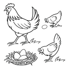 Obraz premium A comprehensive collection of 20 distinct hen line art illustrations suitable for various design projects offering versatility and creative options for animal themed graphics