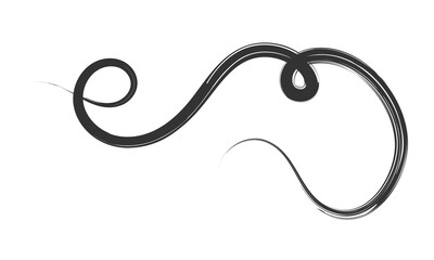 Curved Dry Brush Stroke . Chinese calligraphy . Japanese style .Vector paint stroke . Vector Illustration . 