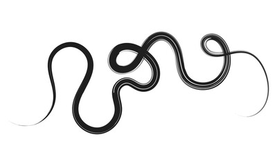 Obraz premium Curved Dry Brush Stroke . Chinese calligraphy . Japanese style .Vector&nbsp;paint&nbsp;stroke . Vector&nbsp;Illustration&nbsp;. 