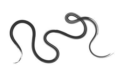 Curved Dry Brush Stroke . Chinese calligraphy . Japanese style .Vector paint stroke . Vector Illustration . 