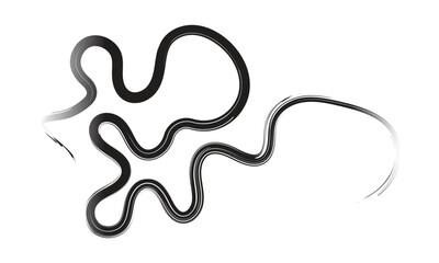 Curved Dry Brush Stroke . Chinese calligraphy . Japanese style .Vector paint stroke . Vector Illustration . 