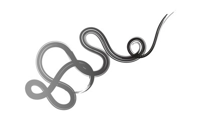 Curved Dry Brush Stroke . Chinese calligraphy . Japanese style .Vector paint stroke . Vector Illustration . 