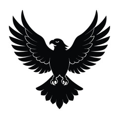 Obraz premium Black Eagle Spread Wings, 