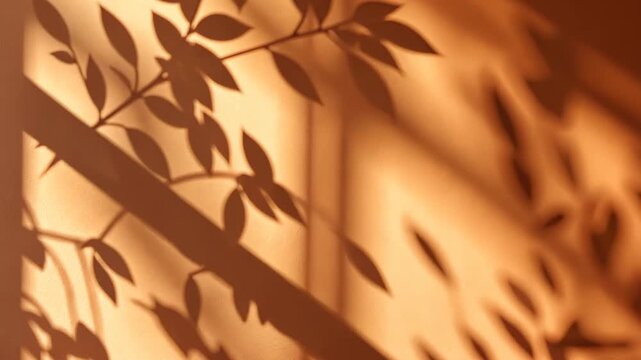 Silhouetted leaf shadows on warm backlit wall creating a serene natural scene