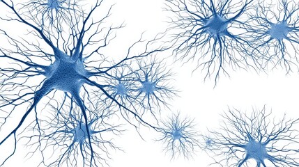 Dynamic Neural Training Pattern with Burning Synapses