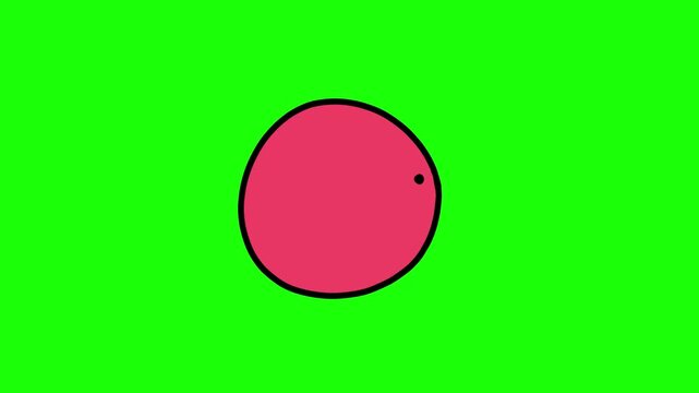 red shape on green screen video