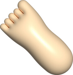 3D shape of a feet