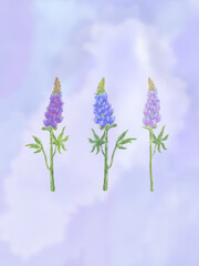 spring flowers on blue sky background