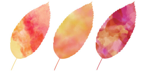 紅葉　葉　秋　アイコン