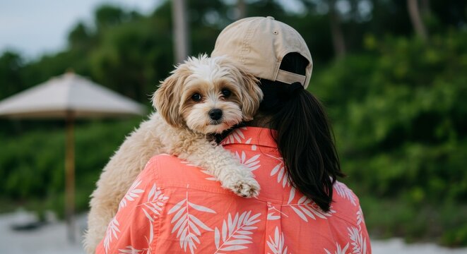 Havapoo. Woman Carrying Small Dog Outdoors on Her Shoulder