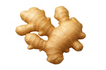 Detailed ginger root close-up, displaying knobbly surface and organic form against transparent backdrop