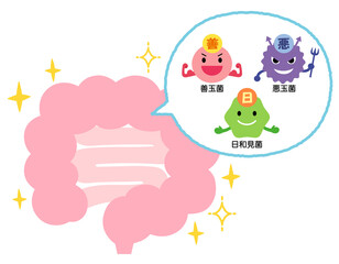 腸内環境　善玉菌　悪玉菌　日和見菌　元気な腸内