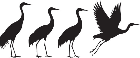 Obraz premium Set of flamingo Silhouettes in Various Poses and Species
