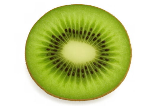 Kiwi slice displaying vivid green interior, dark seeds, crisp central core against transparent backdrop