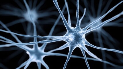Synchronized Neural Trunks Linking Human Minds