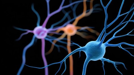 Multi-Brain Sync via Neural Trunk Network