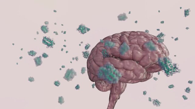 A 3d animation of leptin molecules are absorbed by human brain, the mechanisms that directly communicating the body's fat reserves to the brain for appetite and metabolism. 