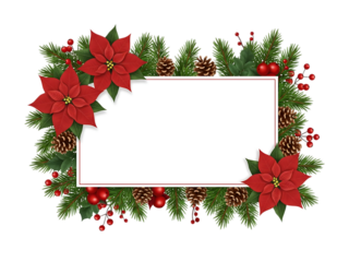 Festive christmas wreath border with red poinsettias and pine cones isolated on transparent background