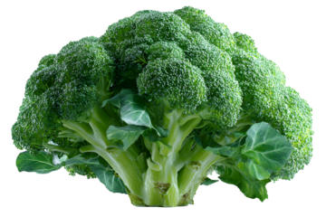 Fresh green broccoli with a black background for healthy eating concept