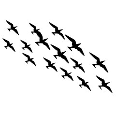 Birds Flying in Formation Silhouette