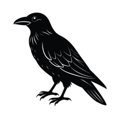 Fototapeta premium raven bird vector illustration