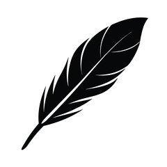 Obraz premium dove feather on white background