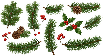 Collection of festive evergreen branches with pine cones and holly berries isolated on transparent background
