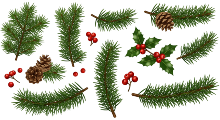 Collection of festive evergreen branches with pine cones and holly berries isolated on transparent background