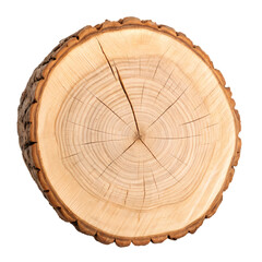 Fototapeta premium Natural Wood Slice Tree Ring Detail on transparent background