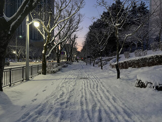 해질녘, 눈이 쌓인 겨울날의 도시 산책로
