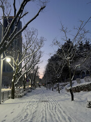 해질녘, 눈이 쌓인 겨울날의 도시 산책로
