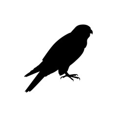 Peregrine falcon silhouette vector flat illustration design. 