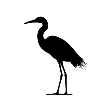 Great white egret silhouette vector flat illustration design.