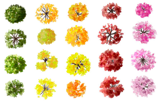 Vector set of yellow and green leaves, Top view ginkgo tree for outdoor plan or map in autumn,plant for environment or garden,watercolor botanical element for exterior layout