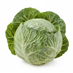 Fototapeta premium Whole cabbage vegetable on white background perfect for vegan recipes, farm produce ads, or grocery promotional content