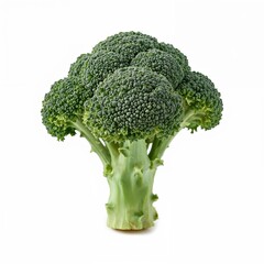Organic broccoli vegetable isolated on white surface, suitable for vegan food ads, nutrition infographics or detox product packaging

