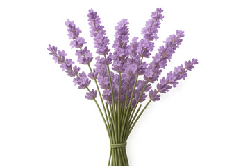 Obraz premium Freshly cut lavender bouquet isolated on transparent background, perfect for aromatherapy, beauty products, or decorative purposes