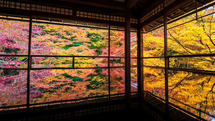 autumn leaf colors with symmetry reflection, Rurikoin temple, Kyoto