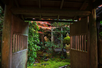 Wooden gate entrance to Rurikoin Temple garden at autumn, Kyoto