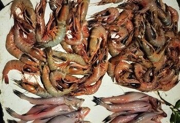 Lot of shrimps in the fish market