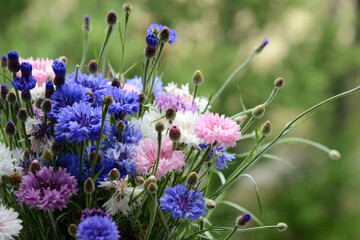 bouquet of wild flowers