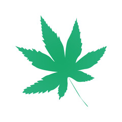 marijuana leaf isolated on transparent background