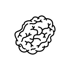 Tumor Mass with Vessels for Cancer Diagnosis and Treatment